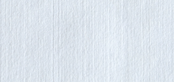 PTsmth White - Perf.roll 38x30cm 2x500sh